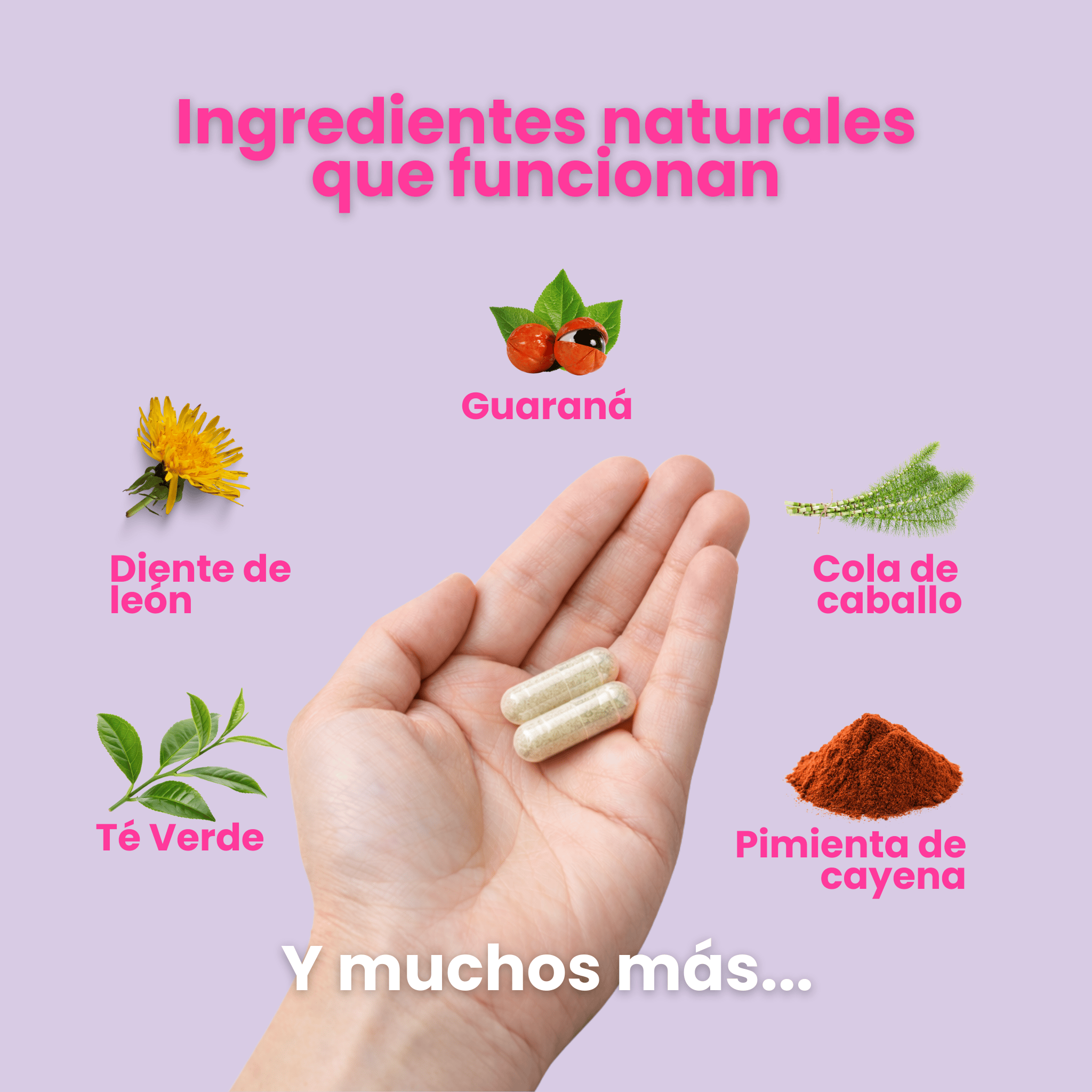 PURA DEFINICION - 100% Natural - PURA