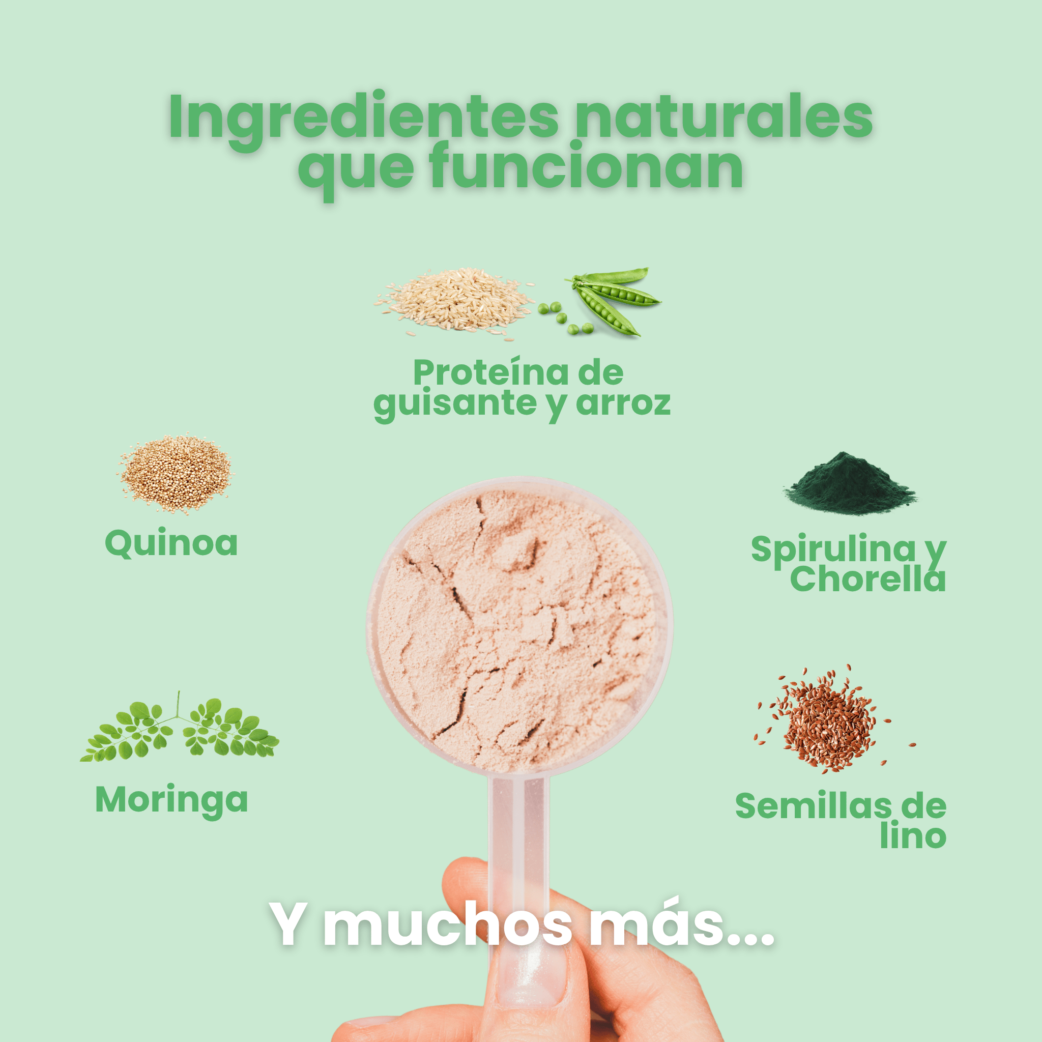 PURA Proteína - Vainilla y caramelo - PURA